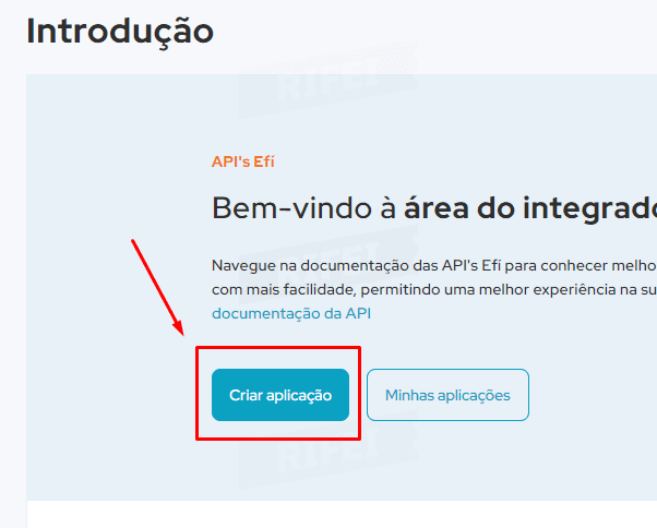 imagem efi para negocios